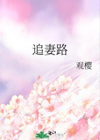 追妻路漫漫全集大结局