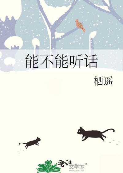 能不能听我说句话