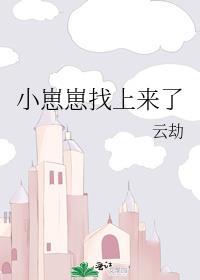 小崽崽找上来了by云劫