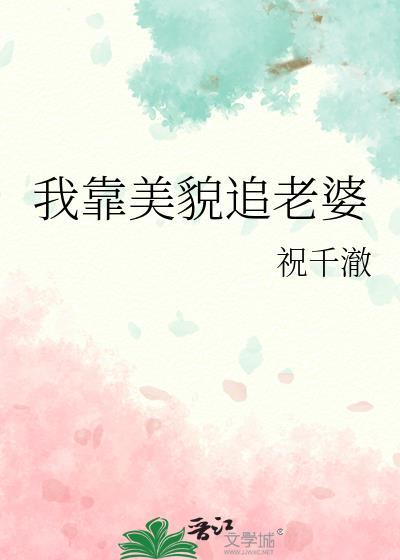我靠美貌追老婆讲的什么