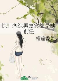 假话夫妻完整版