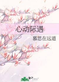 心动际遇免费阅读
