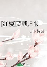 红楼之贾瑚娶公主