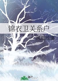 锦衣卫讲什么