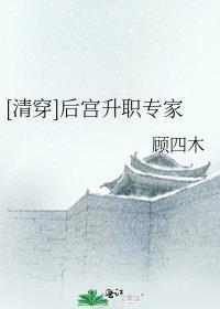 清穿之清宫升职记