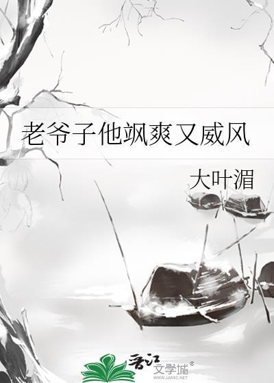 老爷子他飒爽又威风结局