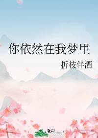 你还在我梦里