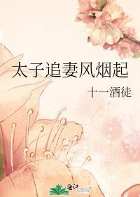 太子追妻风烟起大结局