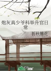 炮灰真少爷科举升官日常 折秋簪花