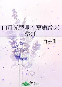 表演的剧本