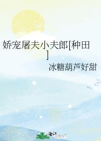 娇宠小夫郎清崽