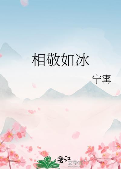 相敬如冰宁甯笔趣阁