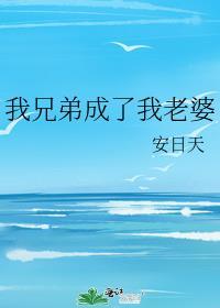 我兄弟成了我老婆介绍
