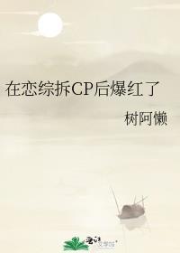 在恋综拆cp后爆红了晋江