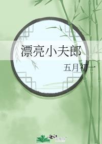 漂亮小夫郎TXT笔趣阁