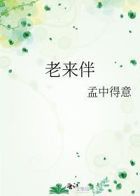 老来伴最经典的一句