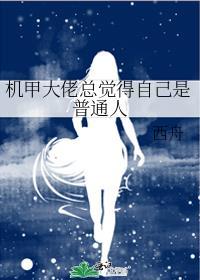 机甲大师简介