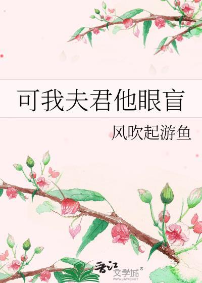 可我夫君他眼盲就爱言情