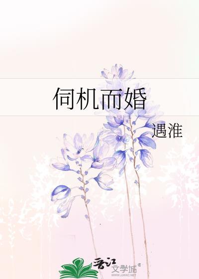 伺机而婚关青禾沈经年