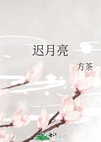 林间风稍至