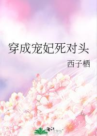穿成宠妃死对头西子栖256中文