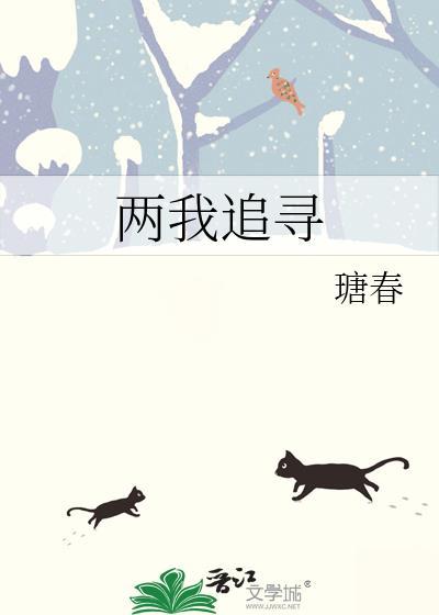 我追寻着你的足迹歌词