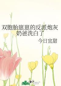 双胞胎萌宝漫画推荐