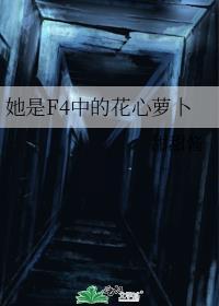 她是f4中的花心萝卜全文免费