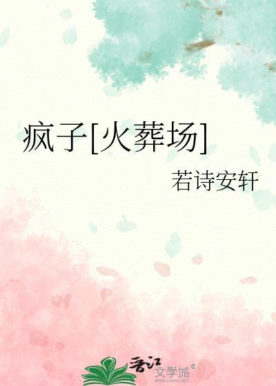 疯子内容
