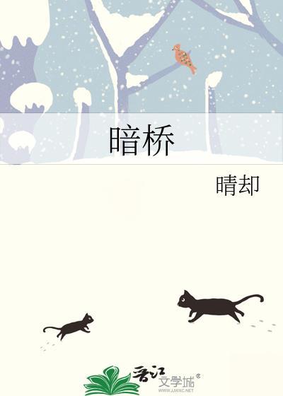 暗桥by晴却TXT