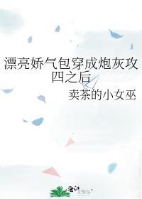 漂亮娇气包穿成炮灰攻四之后晋江