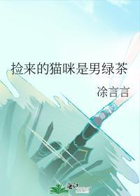 捡到的猫是前女友