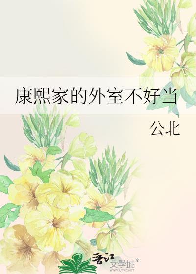康熙外传