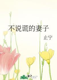 不说谎的妻子by止宁免费阅读