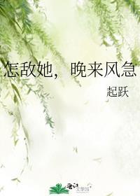 怎敌她晚来风急GL讲的什么
