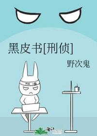 黑皮书刑侦讲的是什么