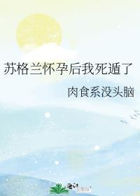 苏格兰怀孕后我死遁了笔趣阁