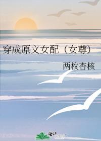 穿成女配文中原女主笔趣阁