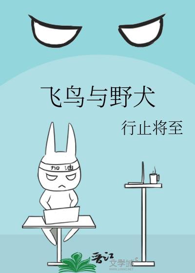 飞鸟与野犬讲的什么