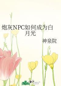 我将炮灰npc养成