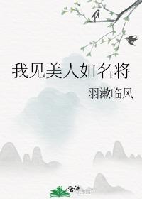 我见美人如名将txt百度