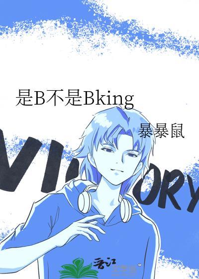 是b不是bkingTXT