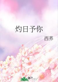 灼日予你西荞免费阅读