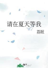 请在夏天等我番外百度