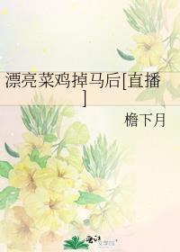 漂亮饭菜图片