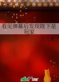 看见弹幕后发现陛下是玩家书评