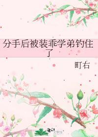 分手后被装乖学弟钓住了免费阅读晋江