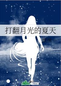 打翻月光的夏天 顾徕一