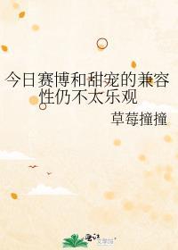 网络语言赛博是什么意思