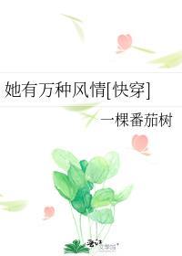 马文才bg文